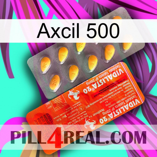 Axcil 500 new01.jpg